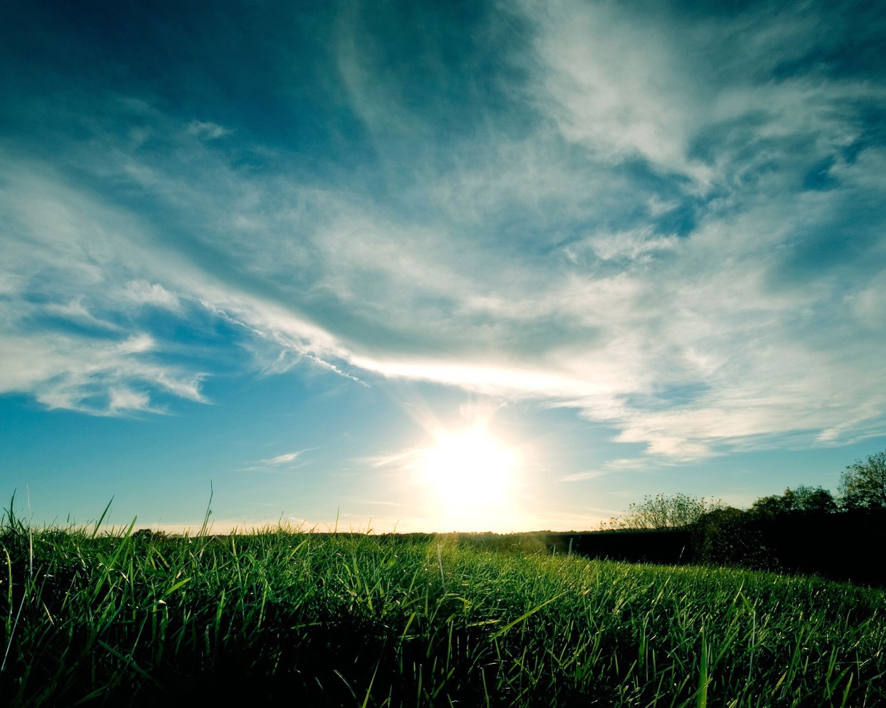 Закат над полем