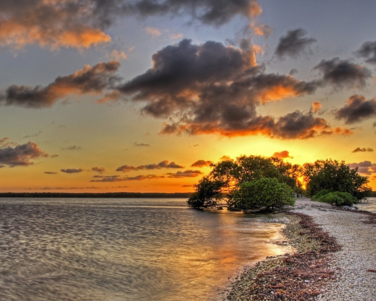 Закат над озером за деревом