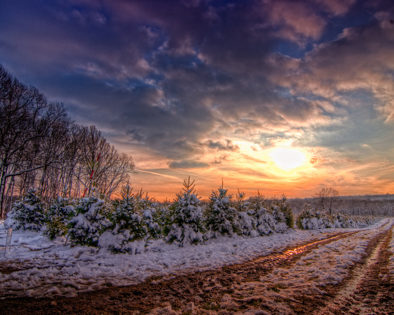 Зимняя дорога в закат