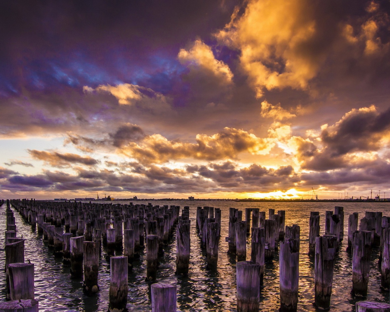 Деревянные сваи в воде