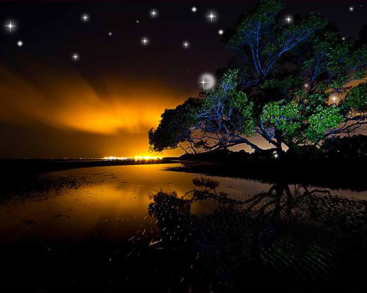 Звезды на ночном небе