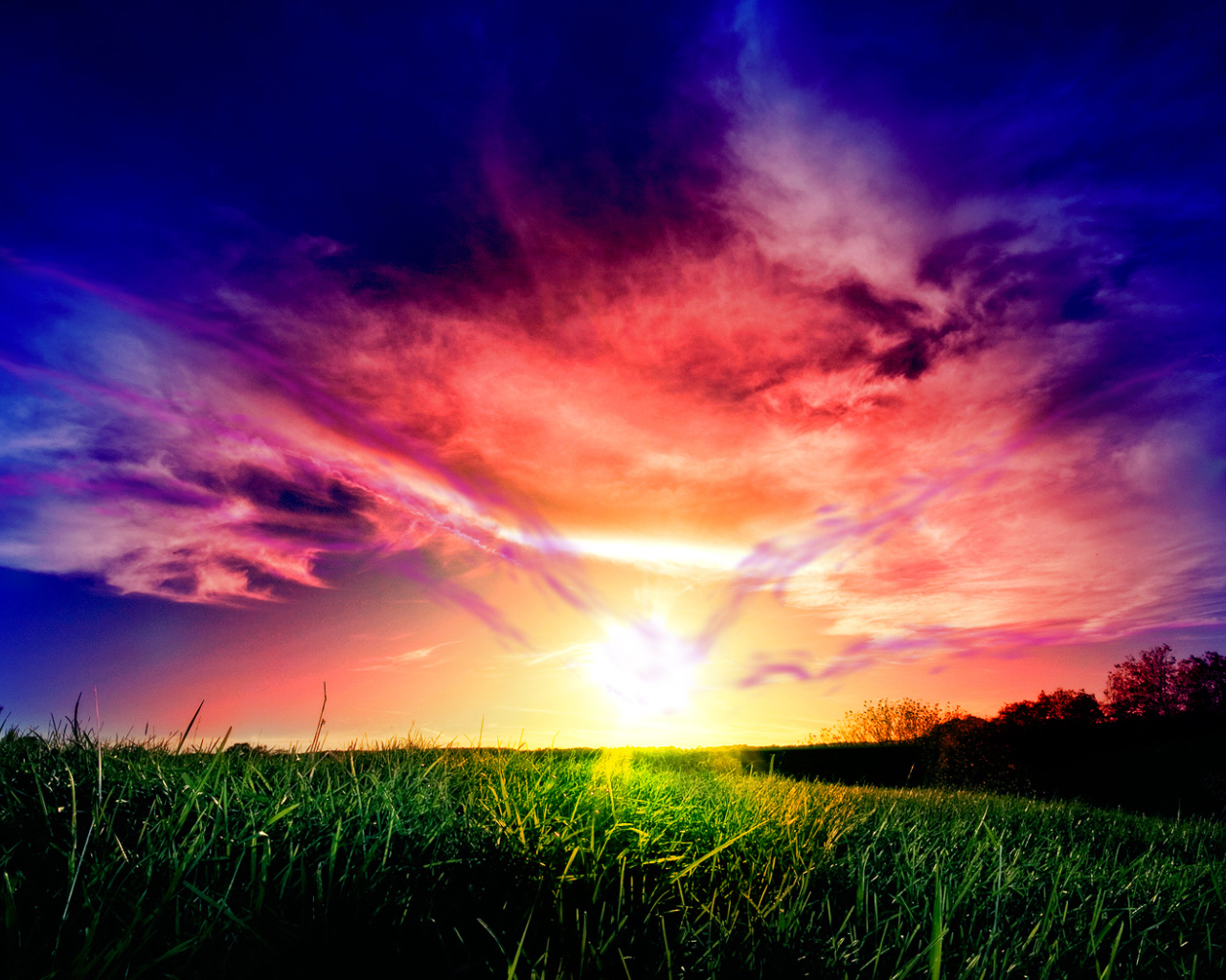 Красивый закат над полем