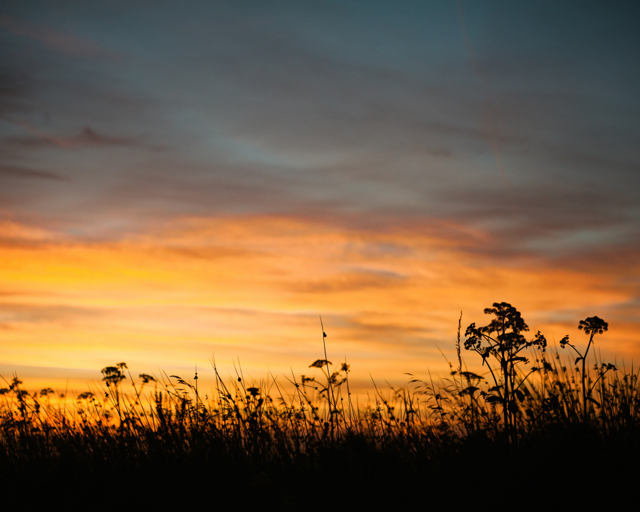 Летний закат