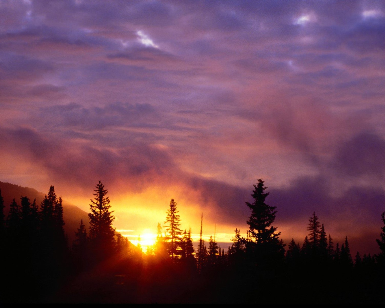 Закат в лесу