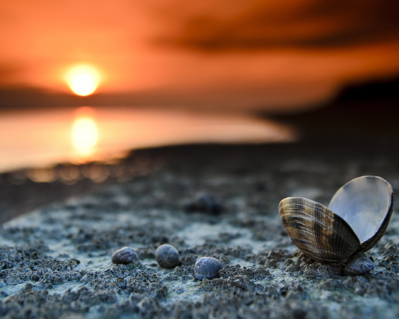 Закат на пляже