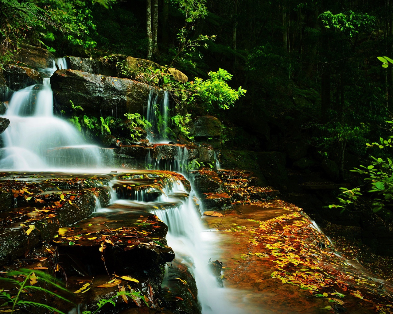 Ручей с водопадом
