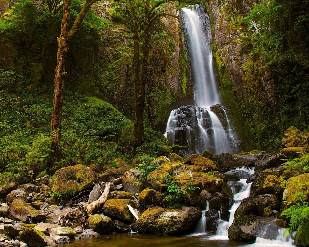 Водопад со скалы