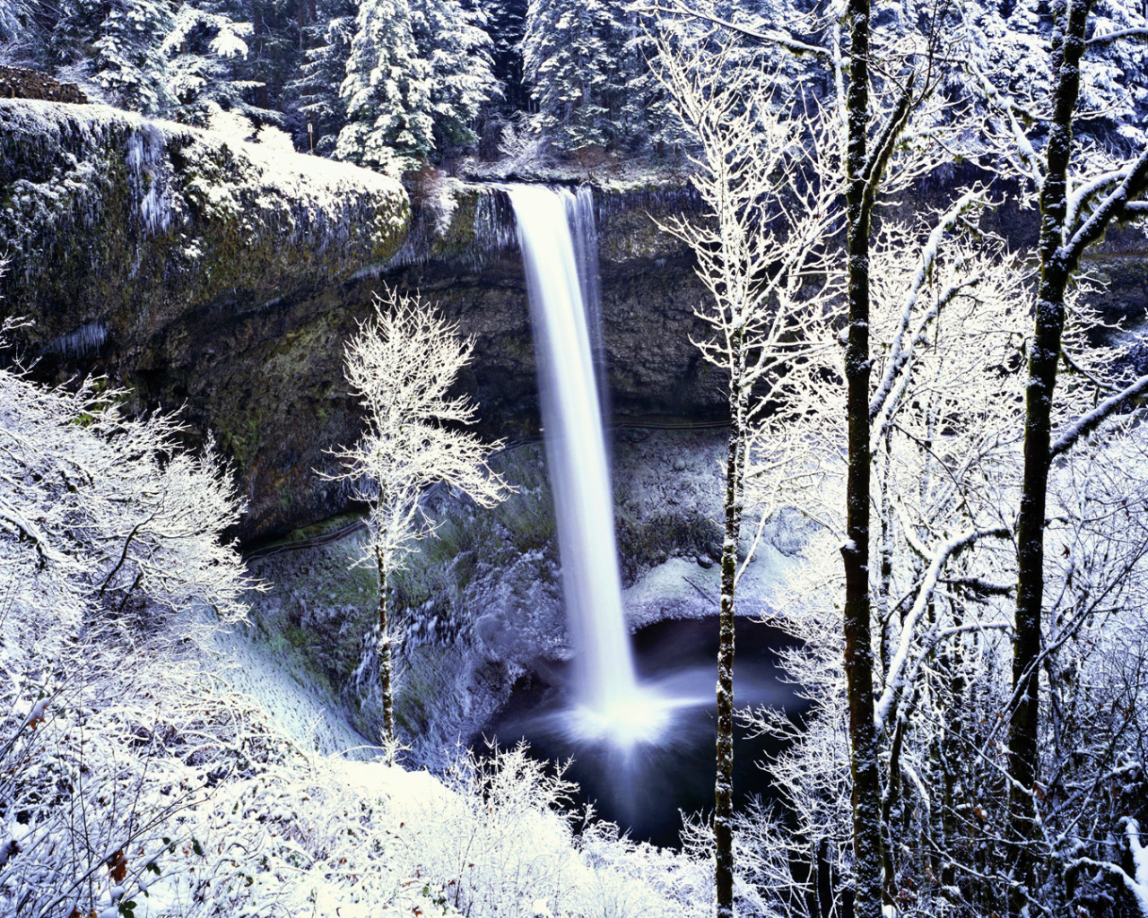 Замерзший водопад в белом лесу