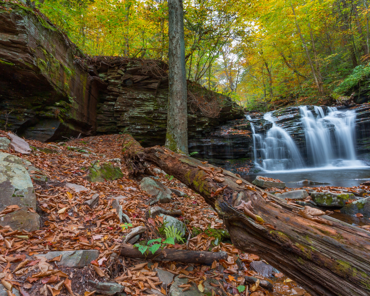 Скалы с водопадом