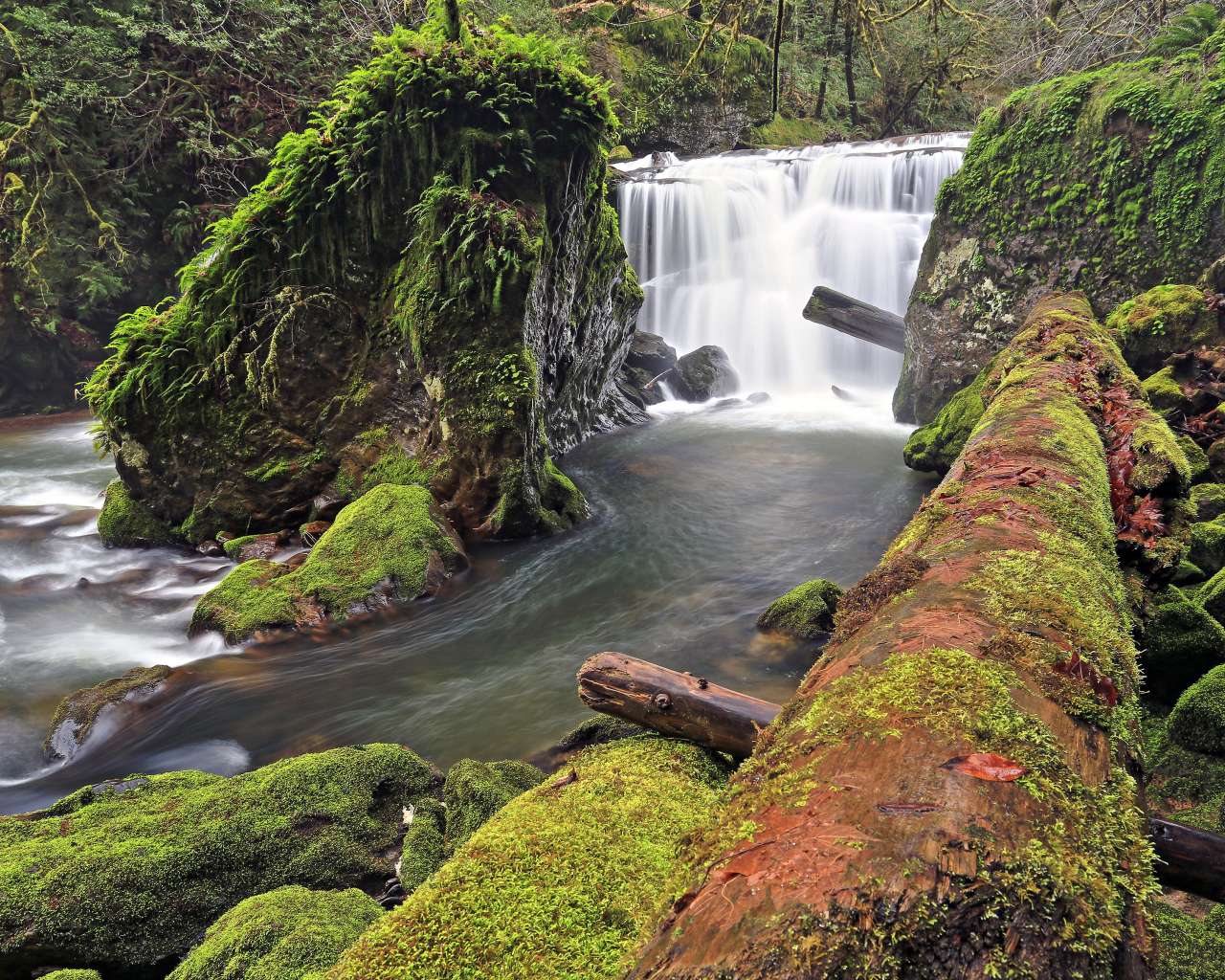 Маленький, красивый водопад в США