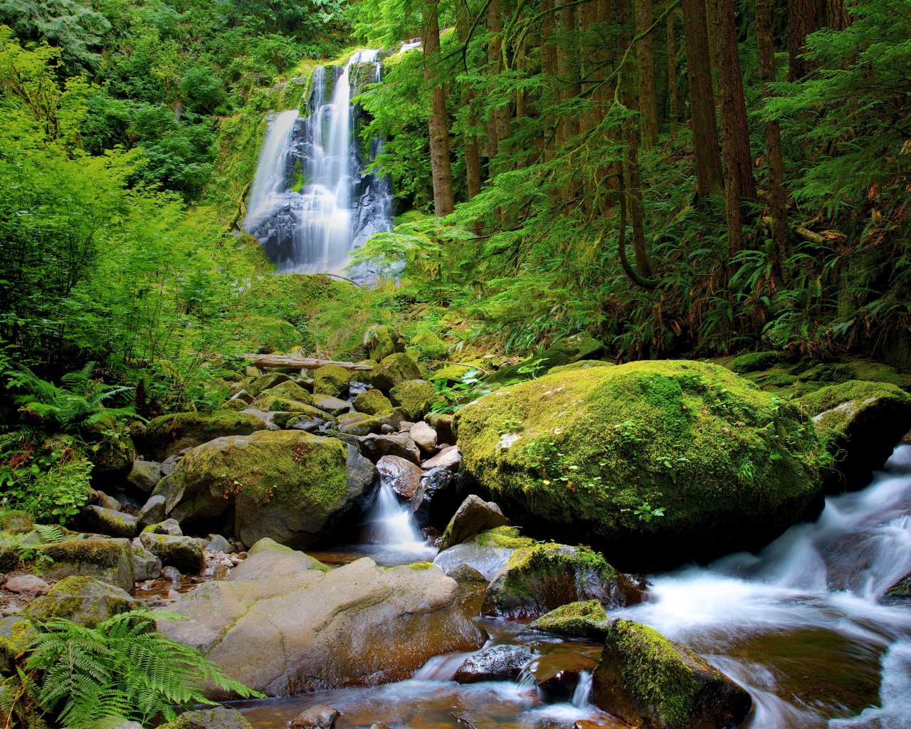 Водопад в густом лесу