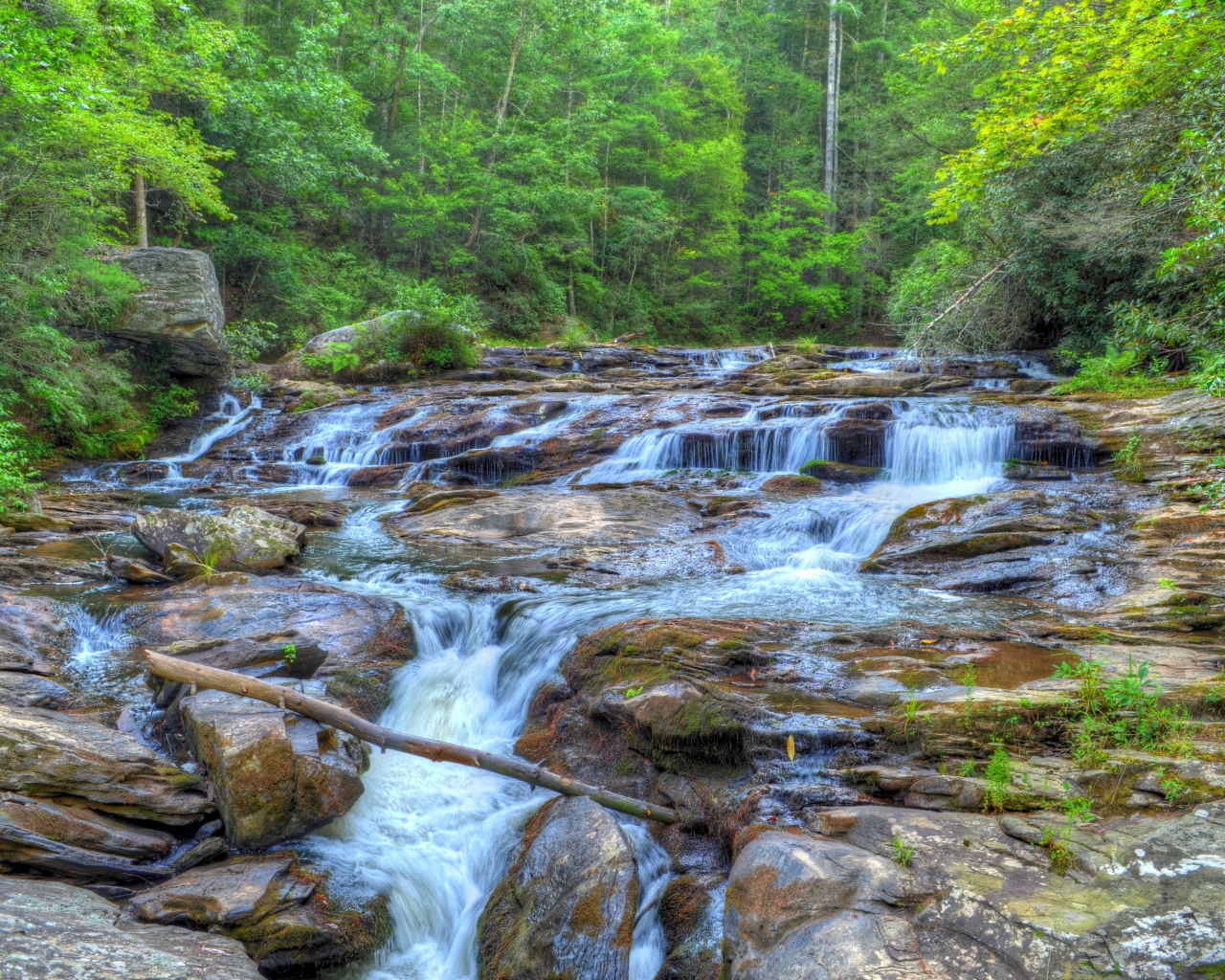 Водопад на лесной речушке