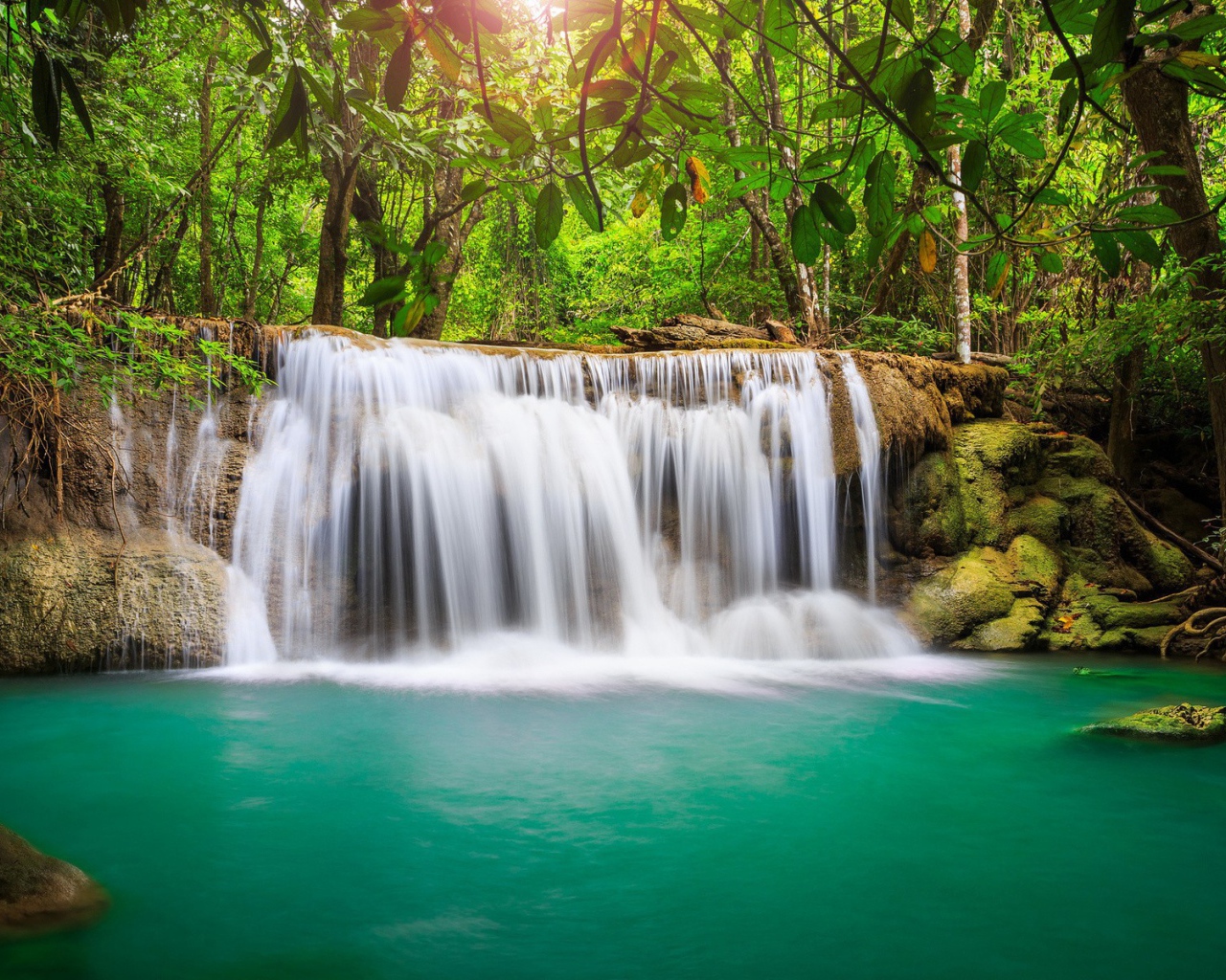 Водопад в тропическом лесу
