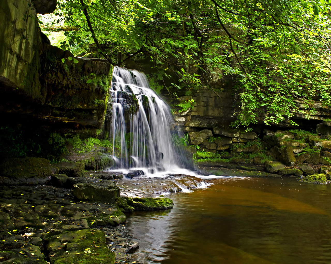 Маленький водопад в лесу