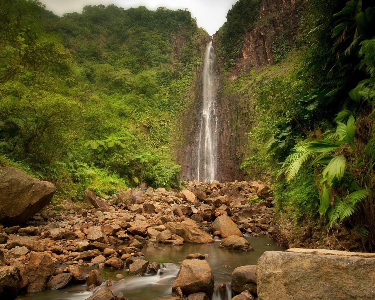 Джунгли вокруг водопада