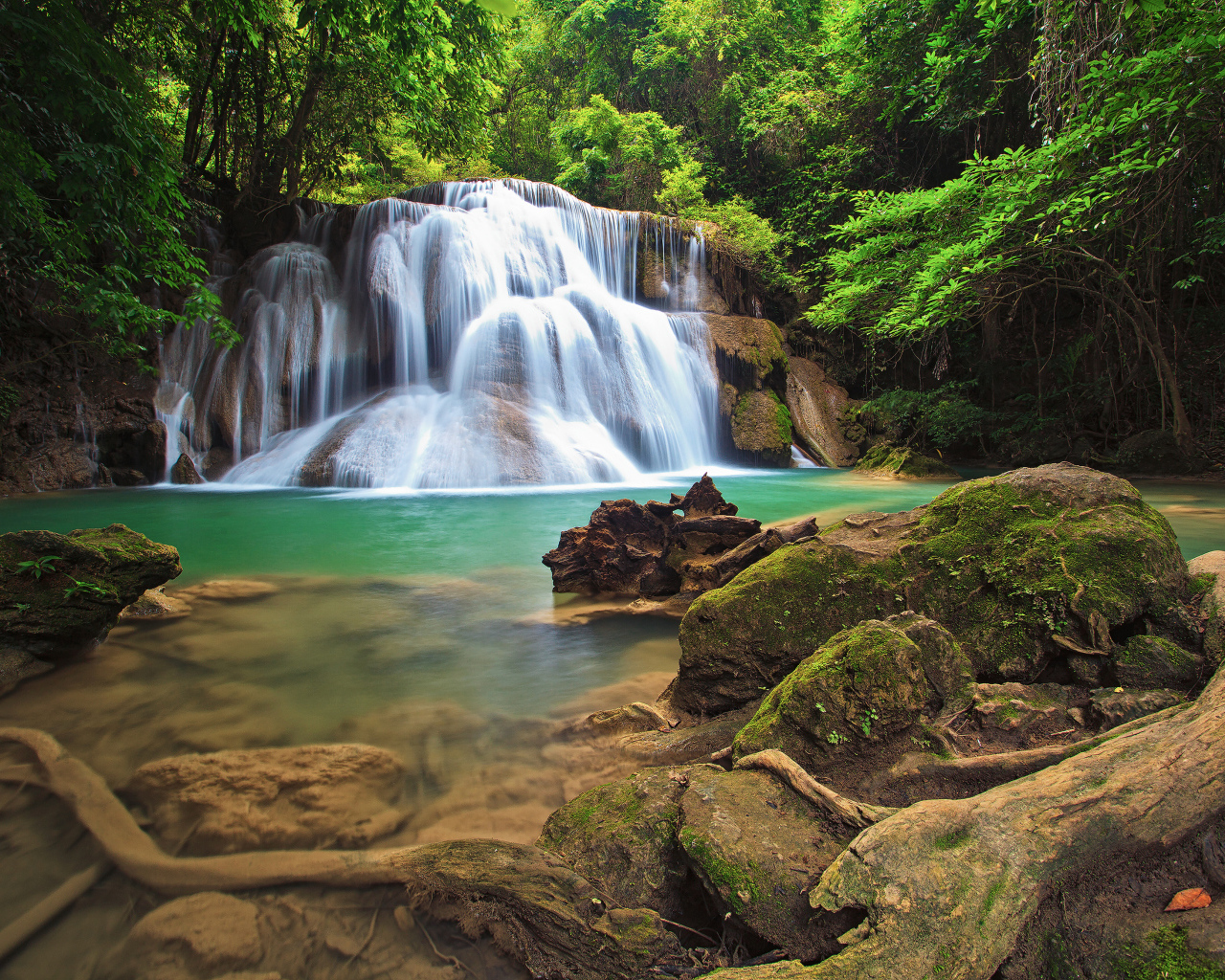 Водопад в густом лесу