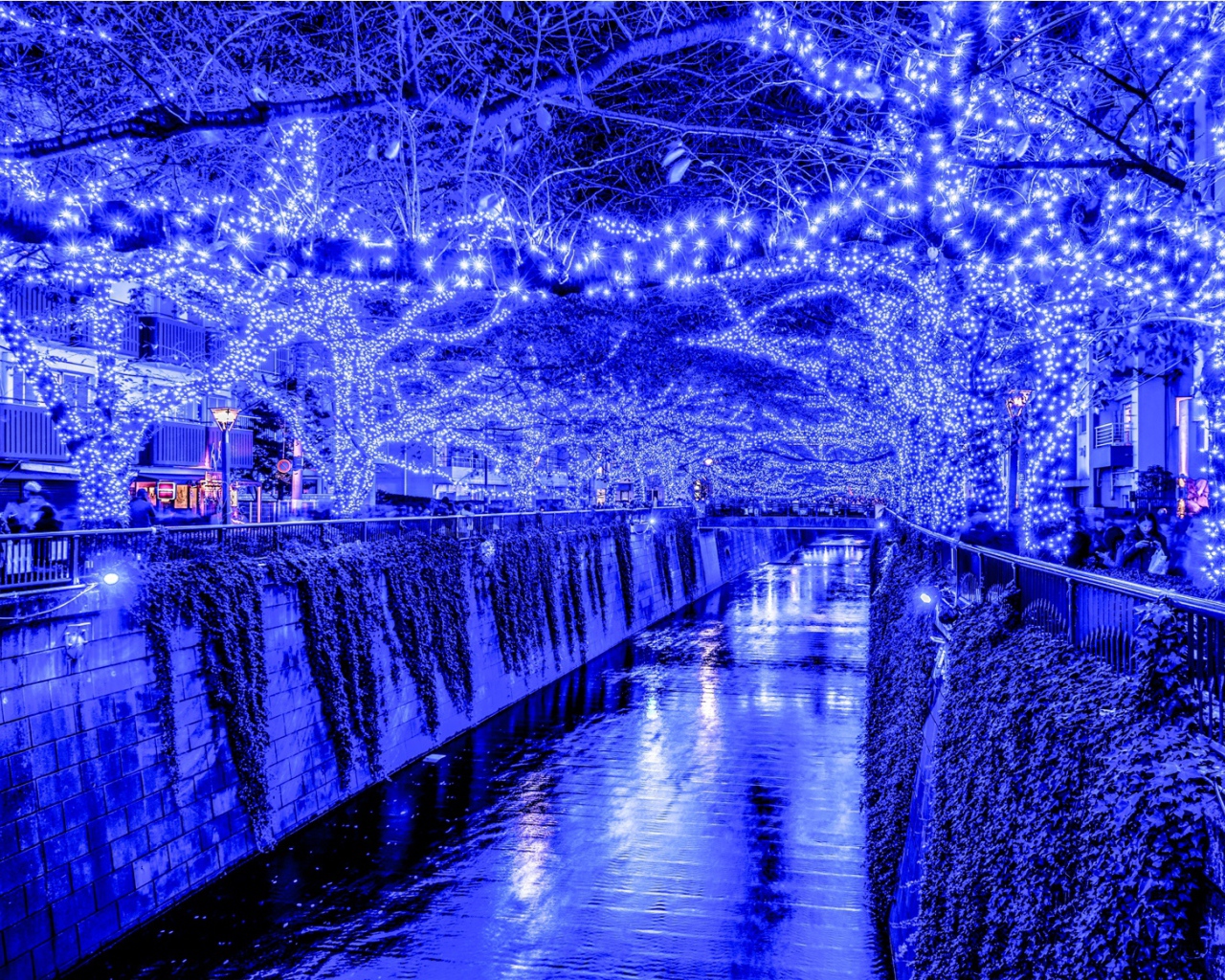 Новогодняя иллюминация в Токио