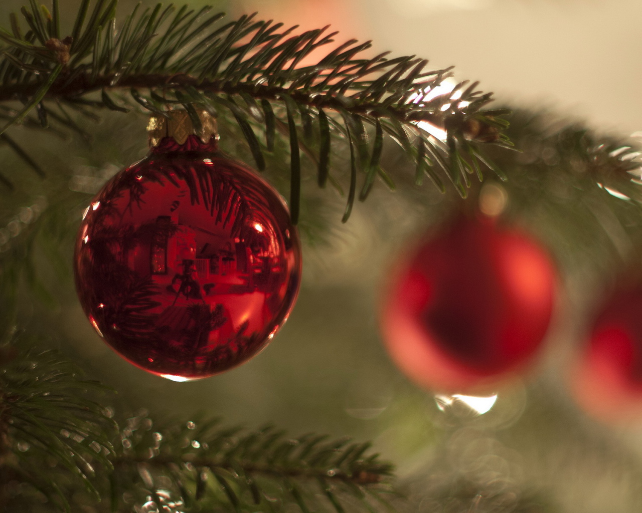 Красный шар на ветке