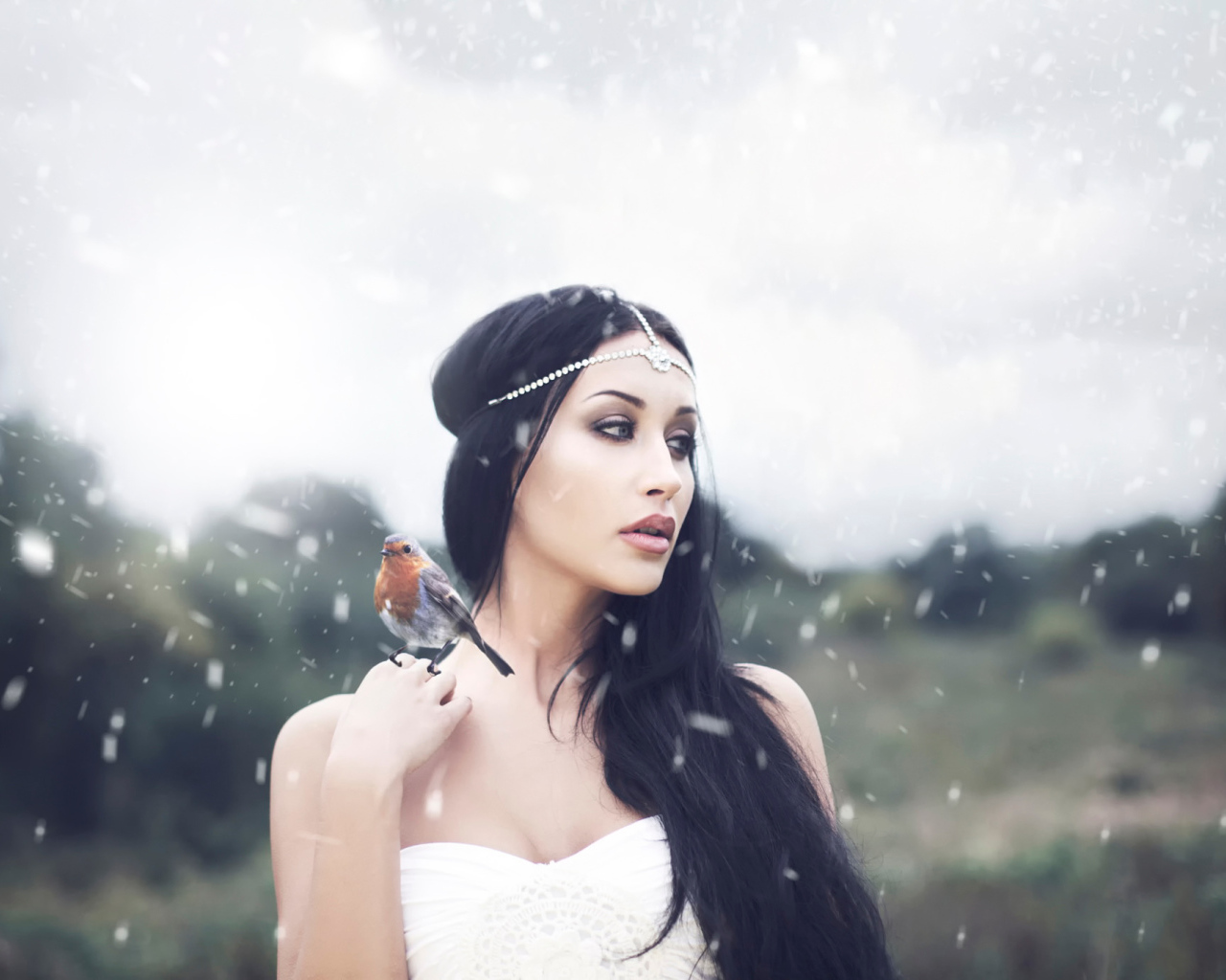 Птица на плече