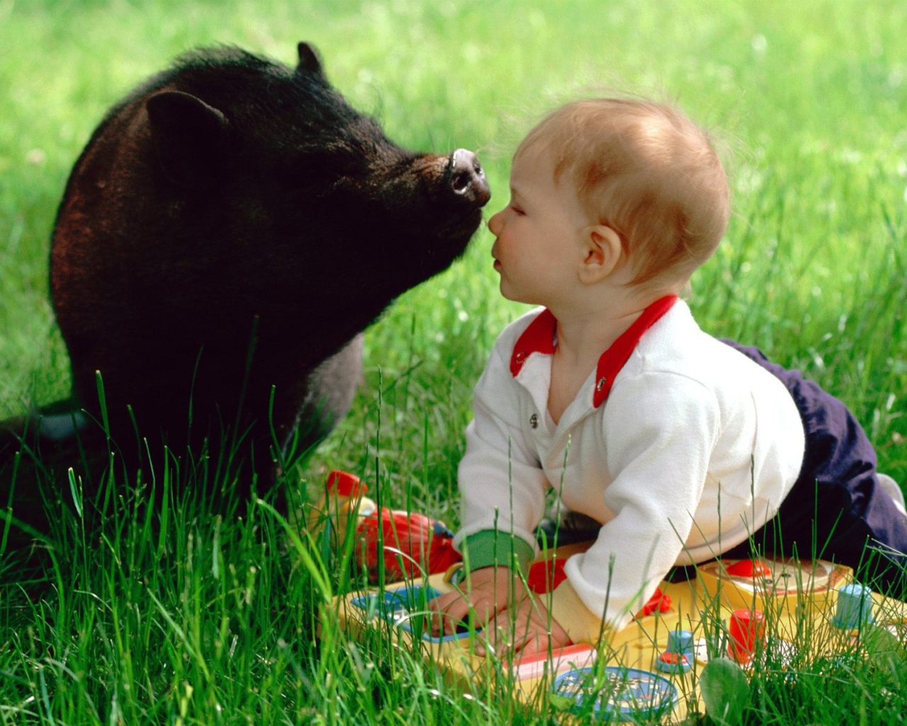 Ребенок и свинья