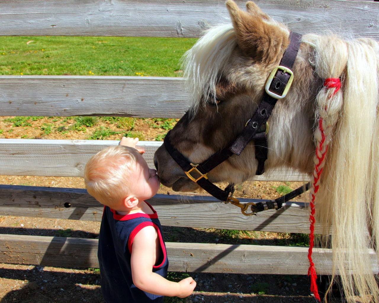 Ребенок целует лошадь