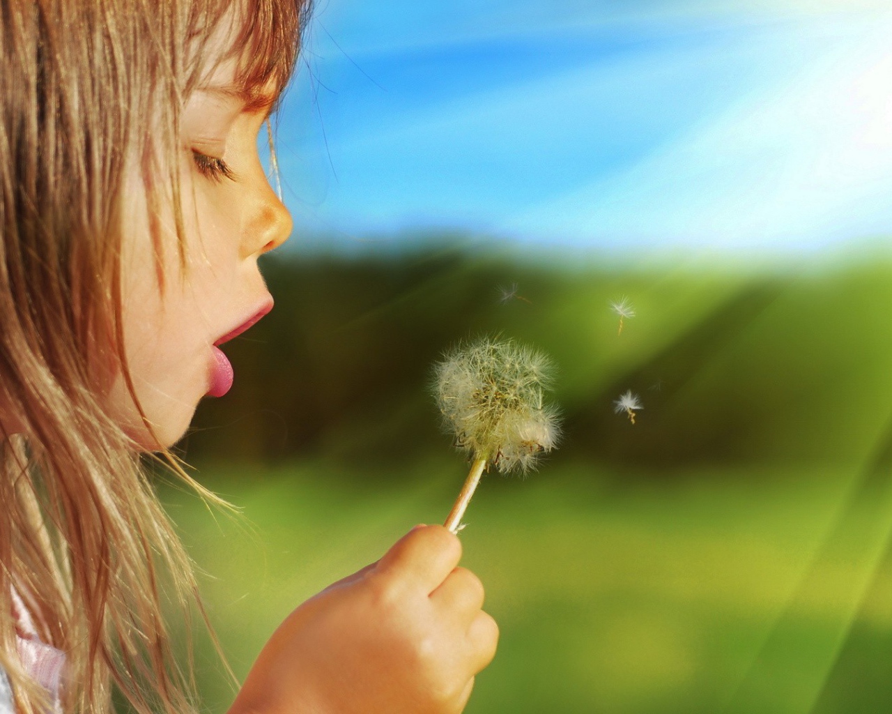 Девочка дует на одуванчик
