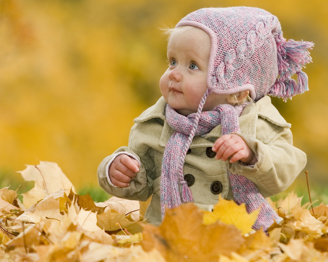 Ребенок играет осенними листьями