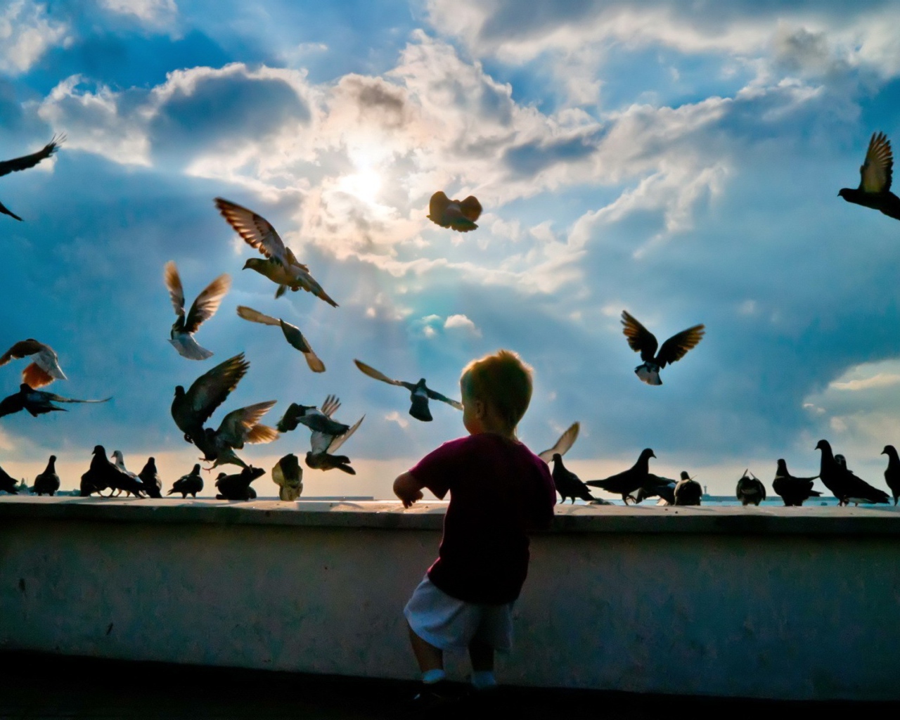 Ребенок и голуби 