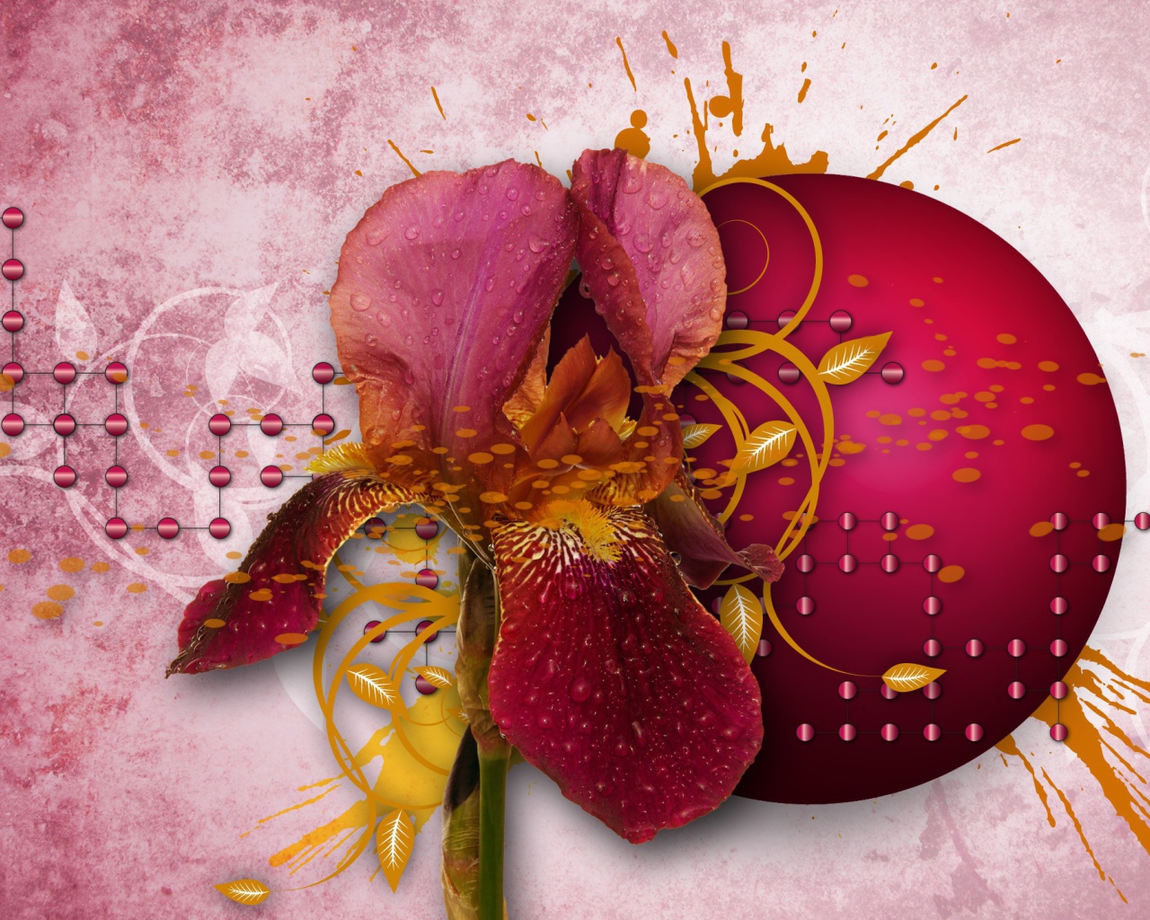 Абстракция с лепестками