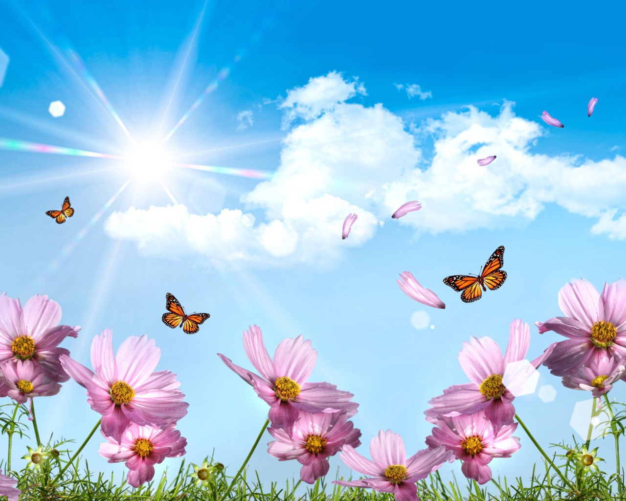 Летают бабочки и лепестки