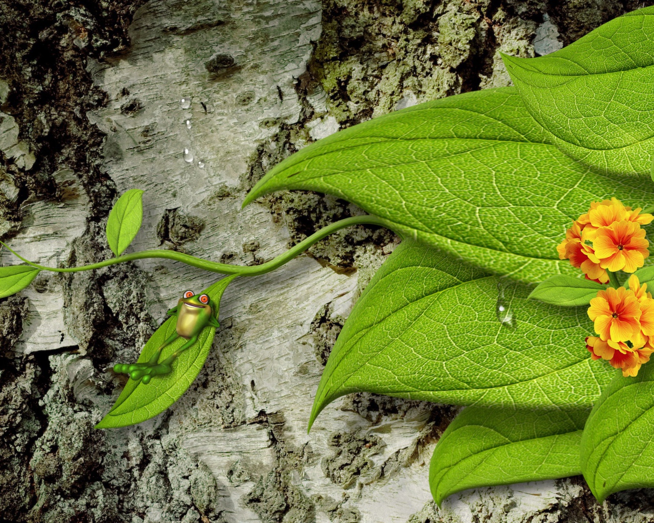 Лягушка на зеленом листе