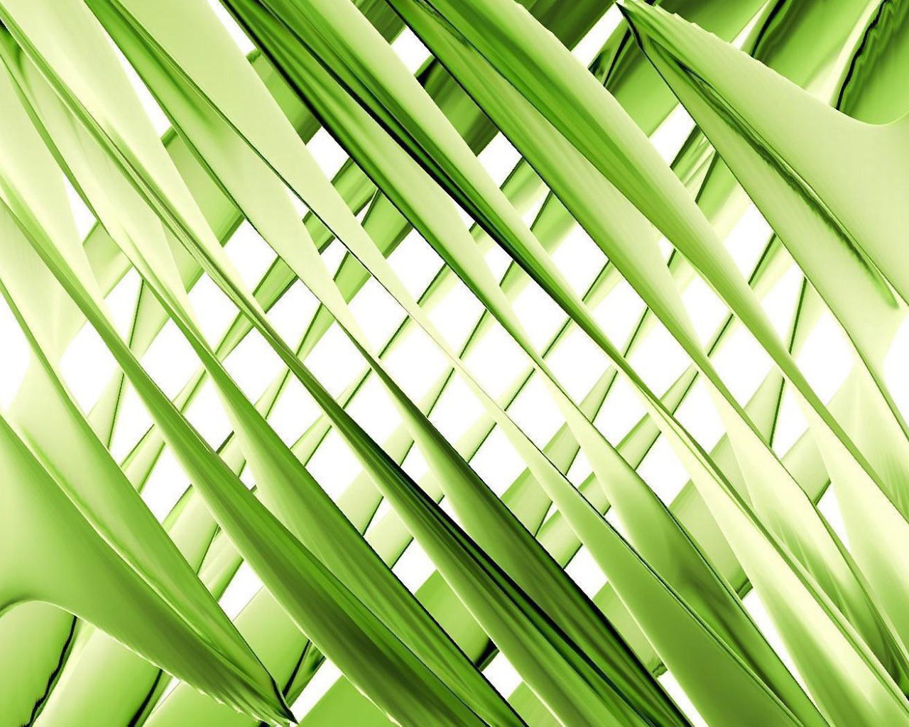 Зеленое переплетение