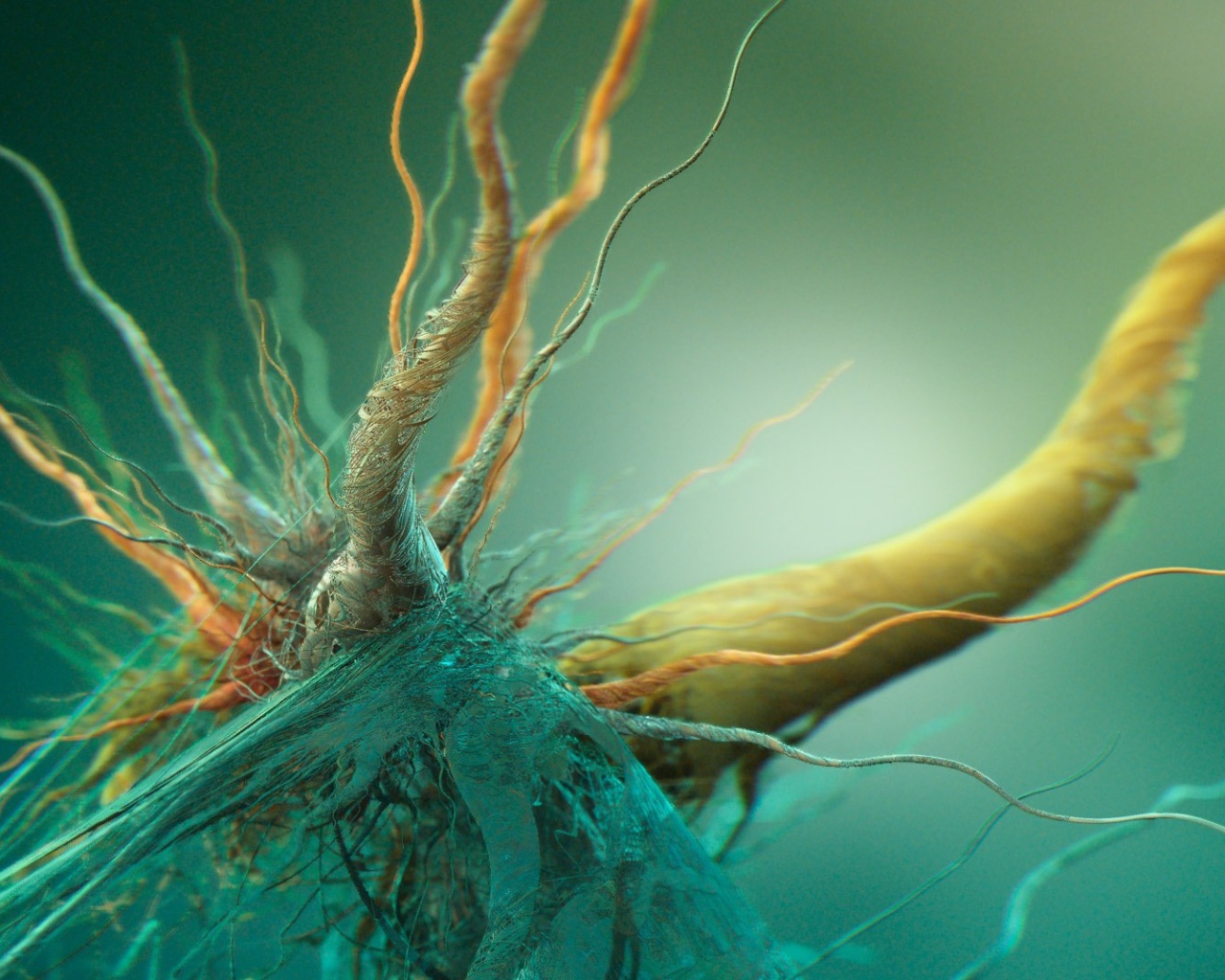 Сплетение корней