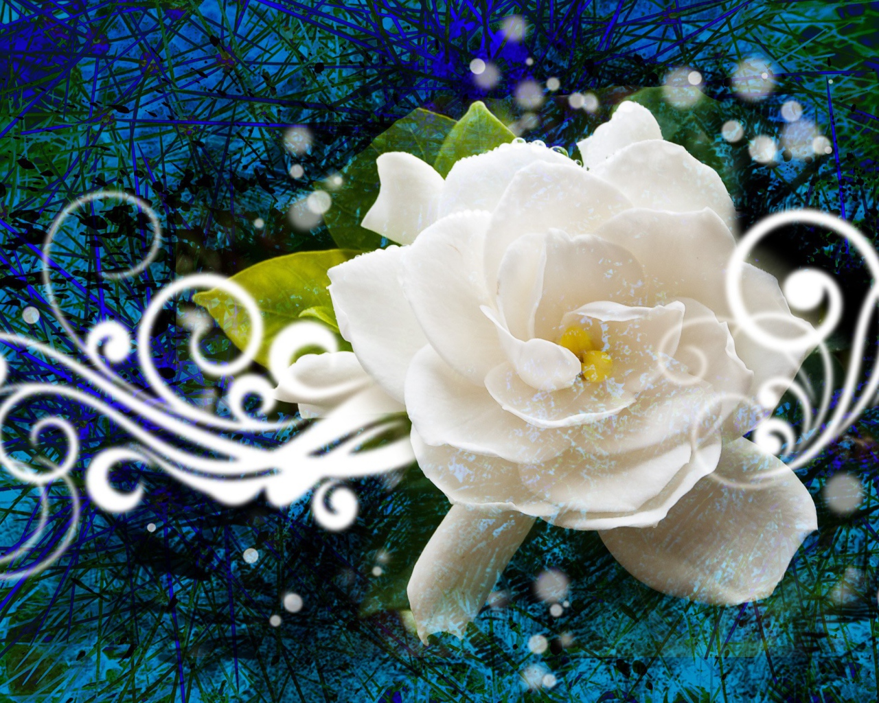 Абстракция с белой розой