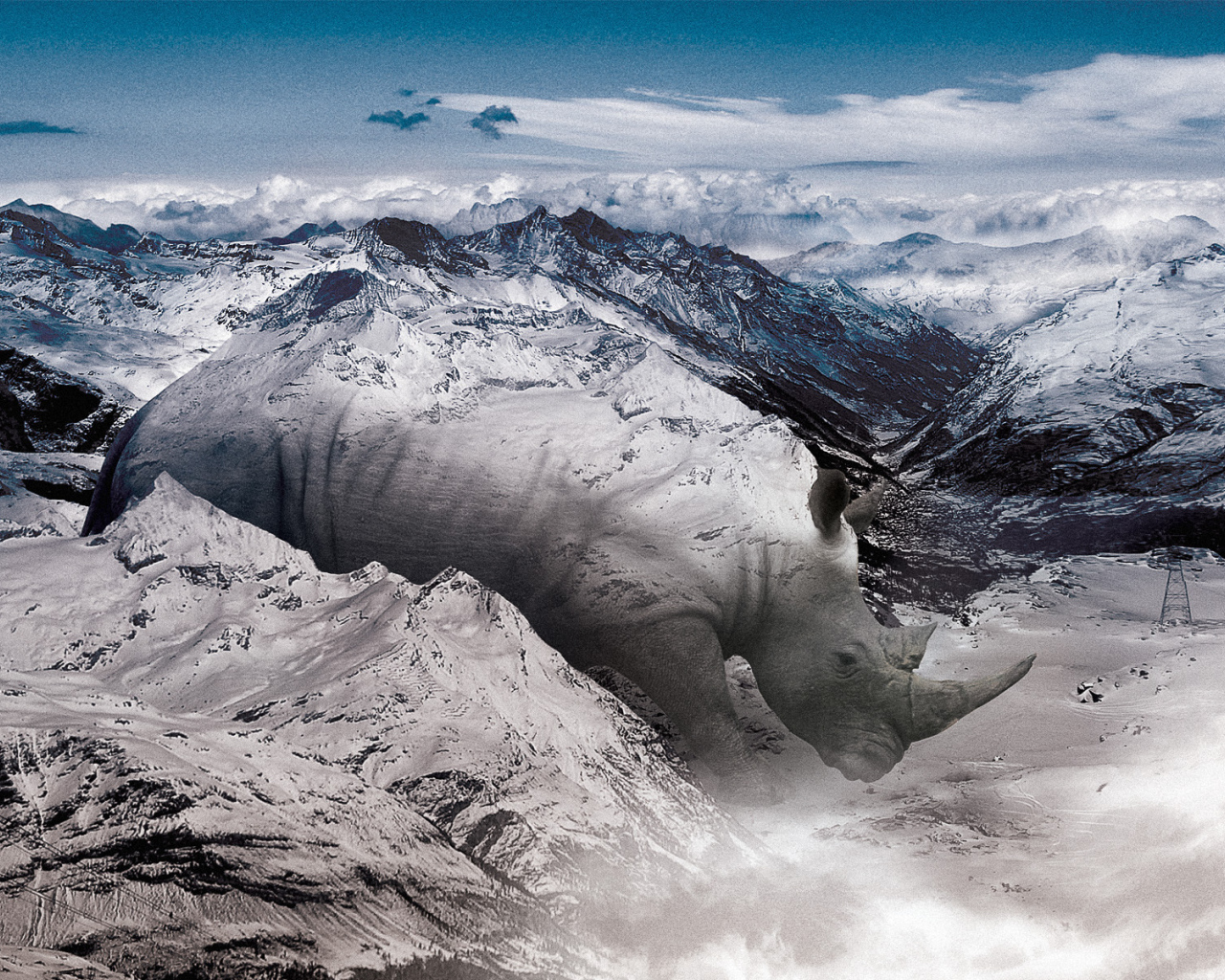 Носорог в горах