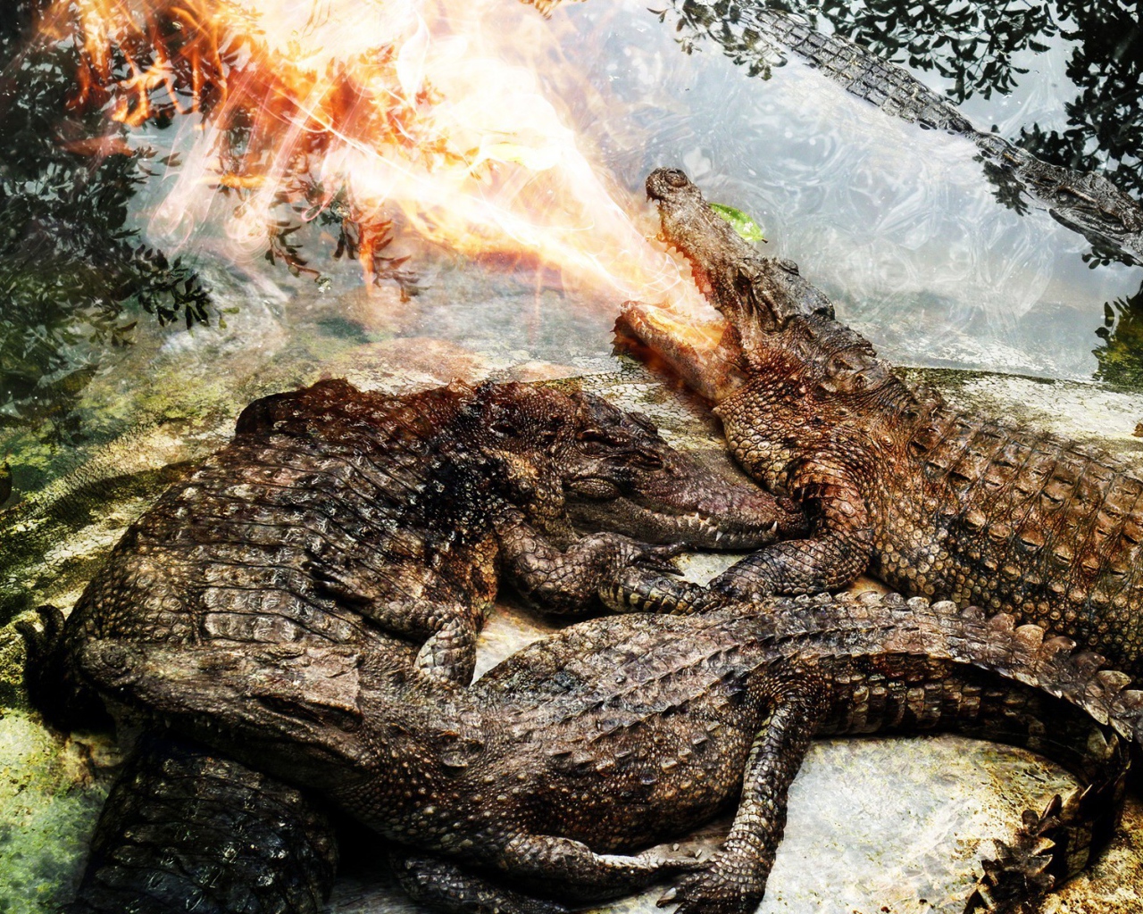 Крокодил изрыгает огонь