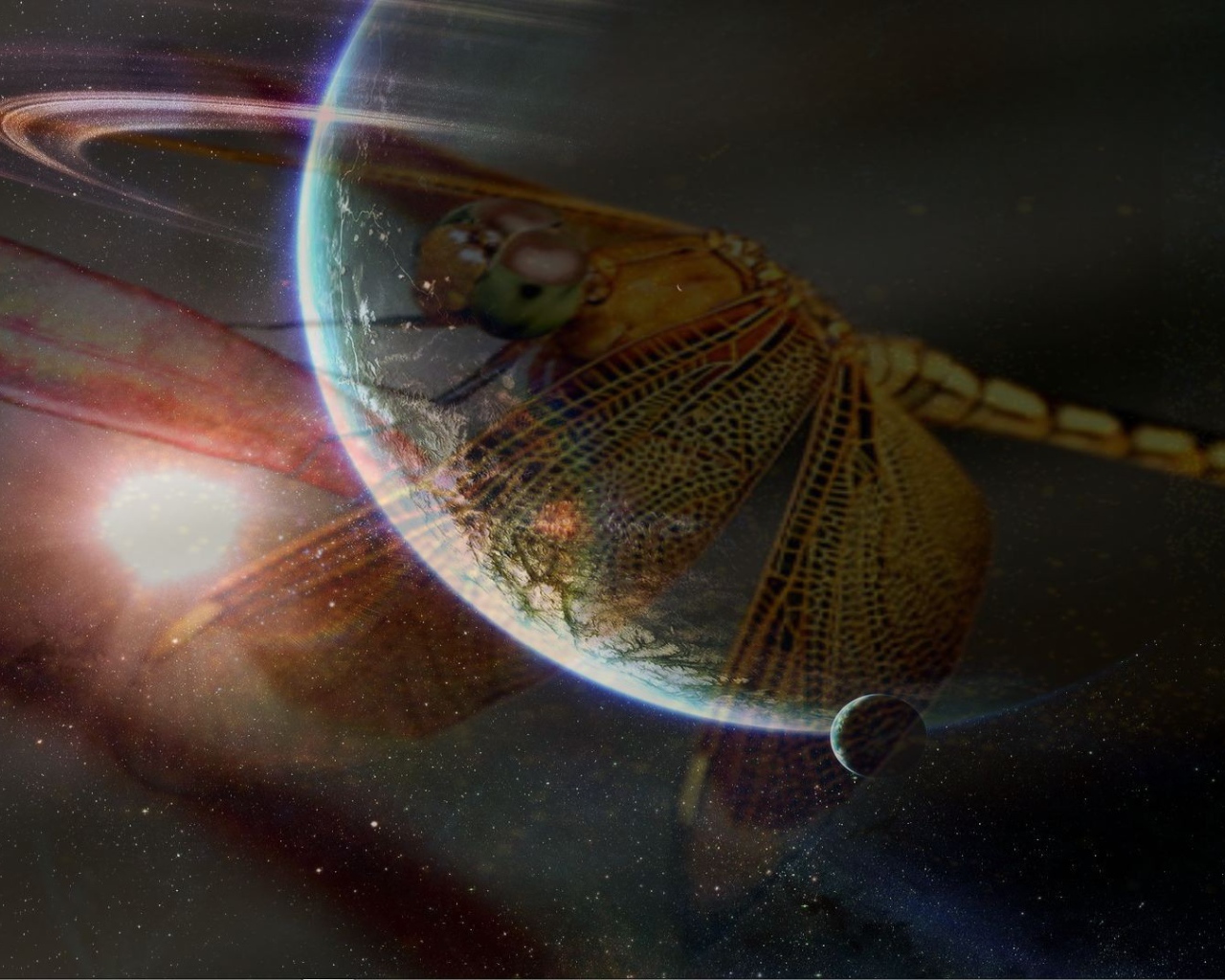 Стрекоза и космос