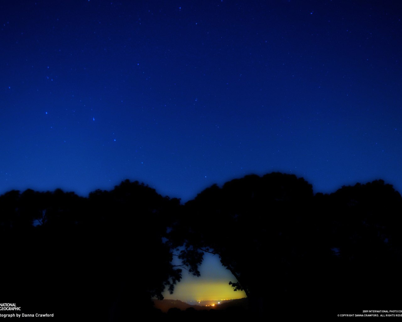 Созвездие Большая медведица