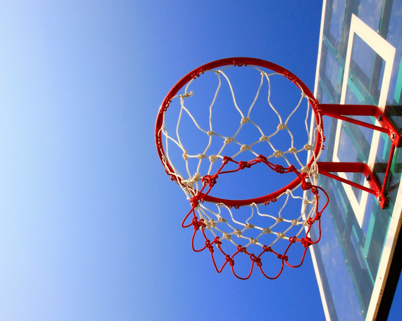 Баскетбольная сеть