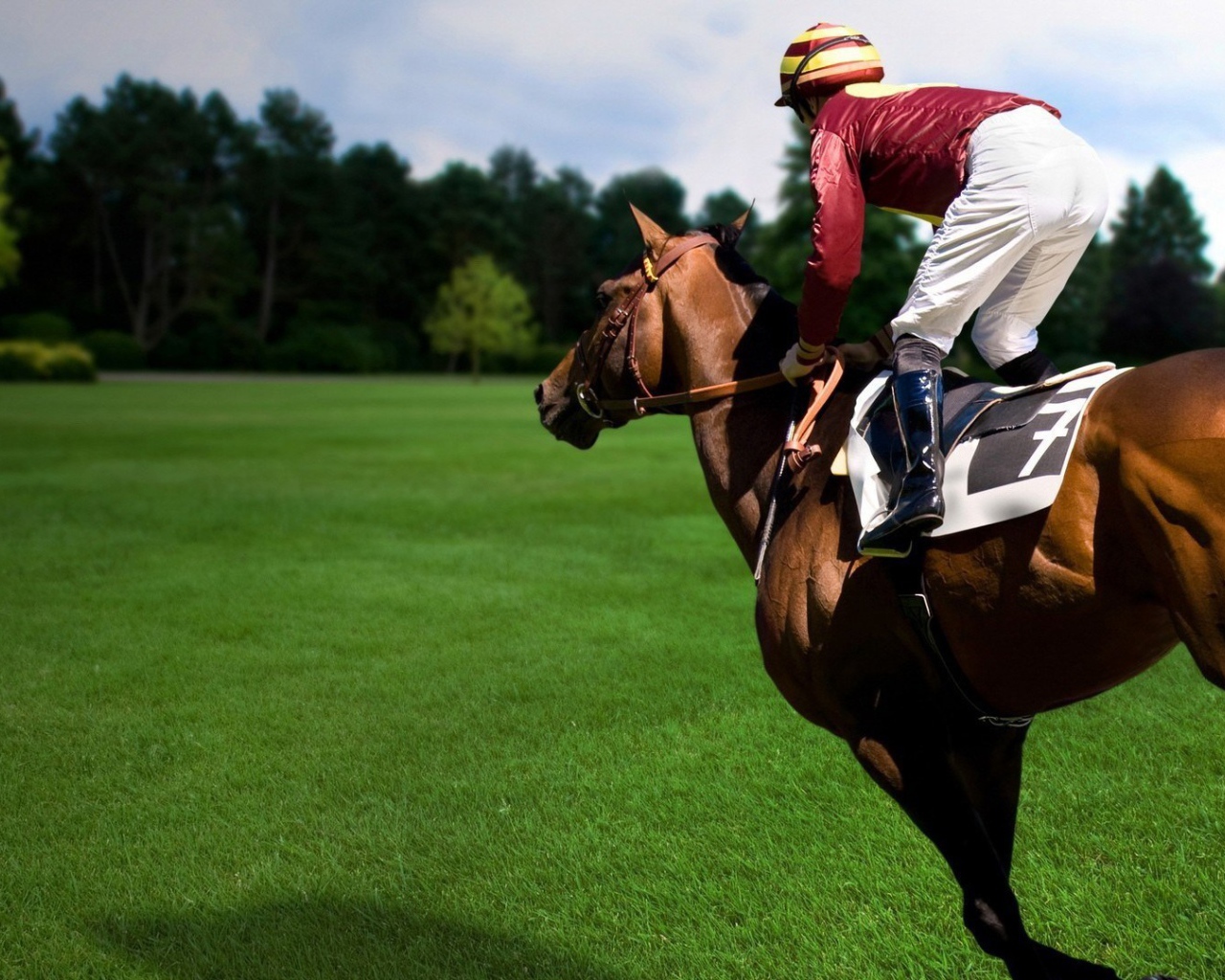 Конный спорт