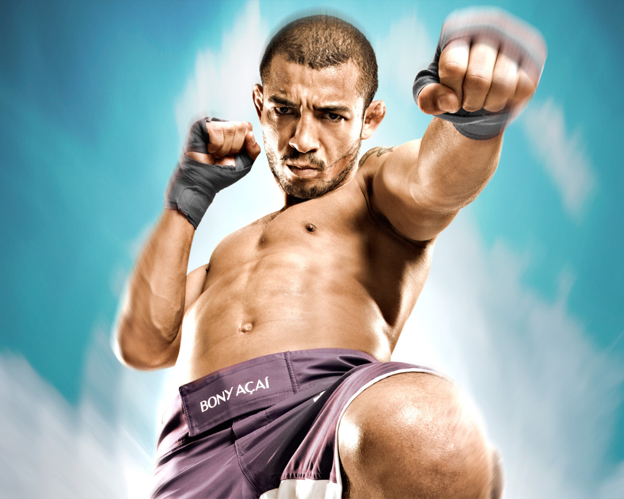 Fearless UFC fighter Jose Aldo 