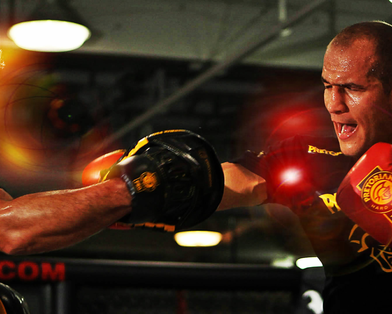 Боец Джуниор Дос Сантос