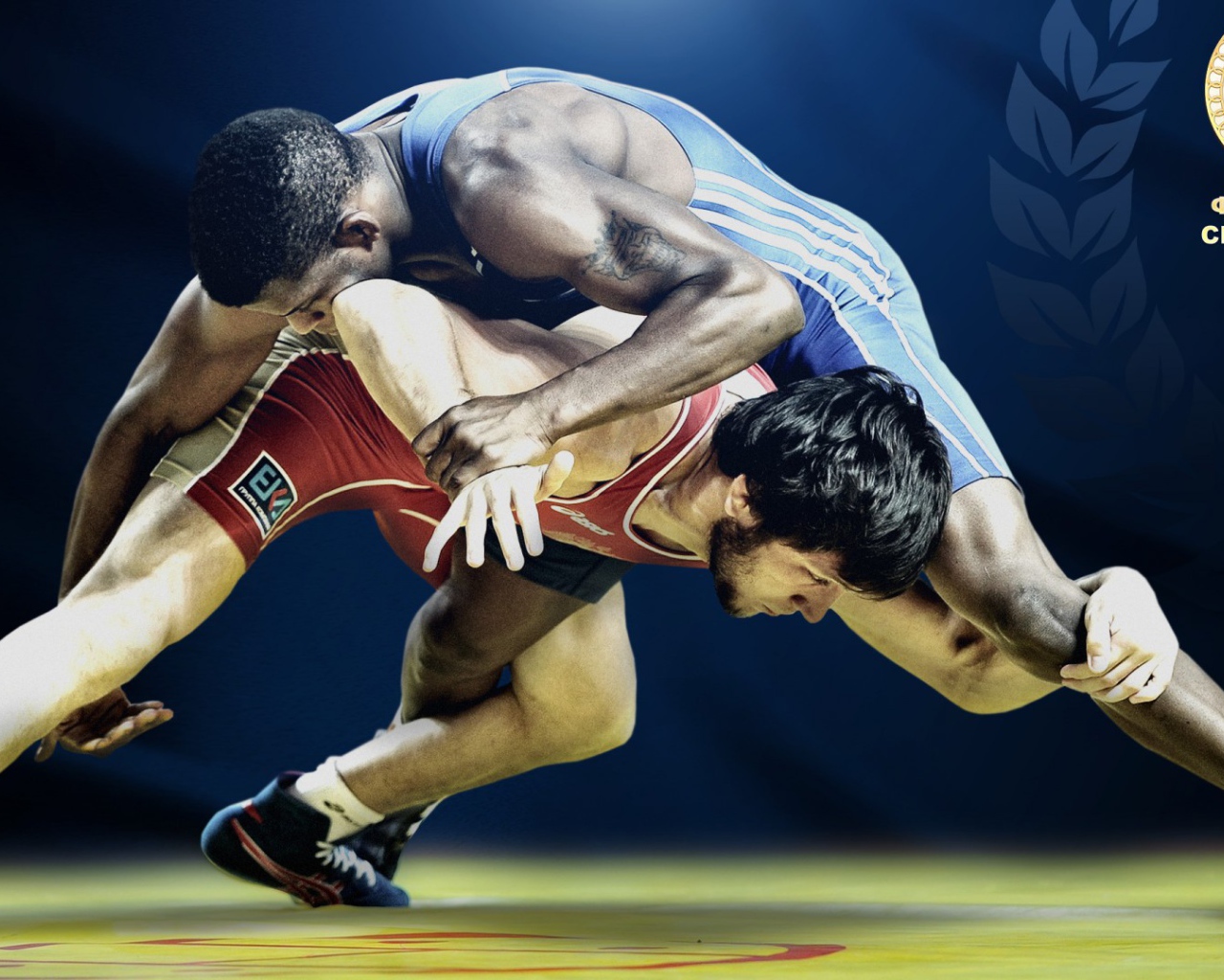 Греко римская борьба 