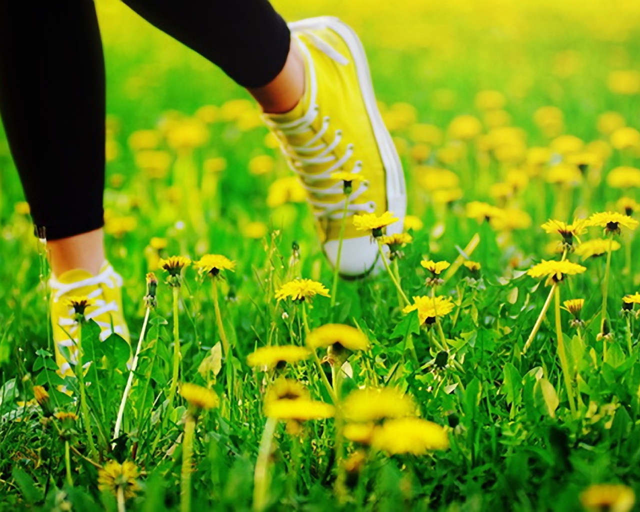 Пробежка в кедах по лугу