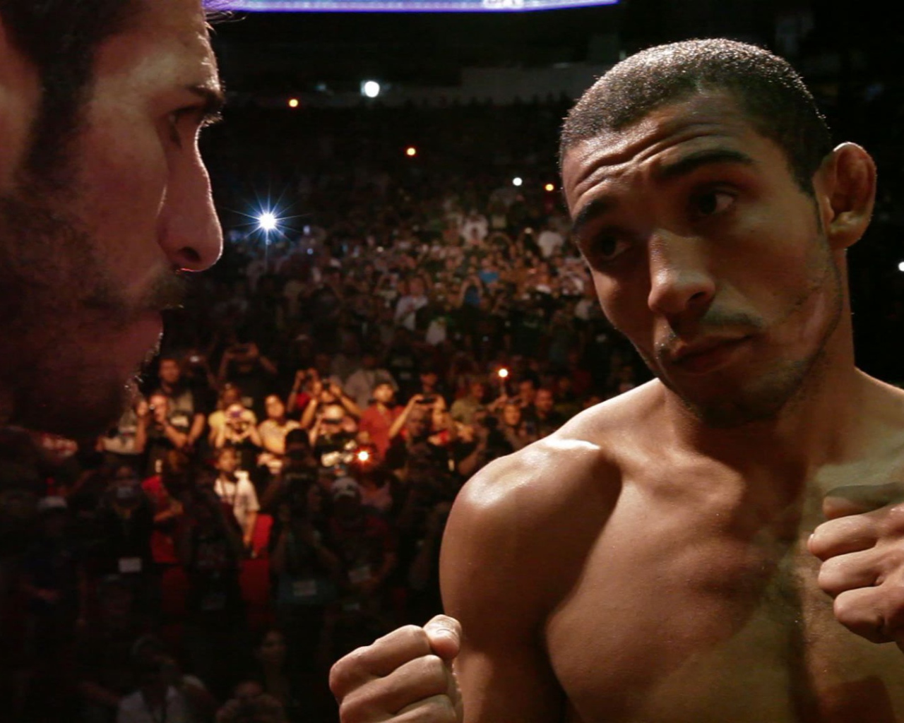 Воин УФЦ Хосе Альдо