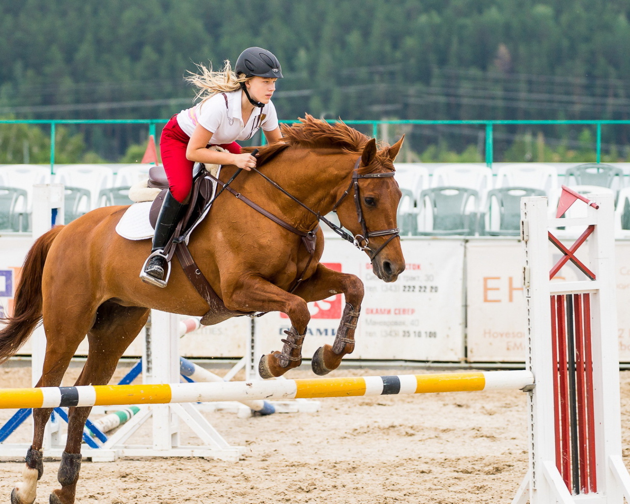Прыжок в конном спорте