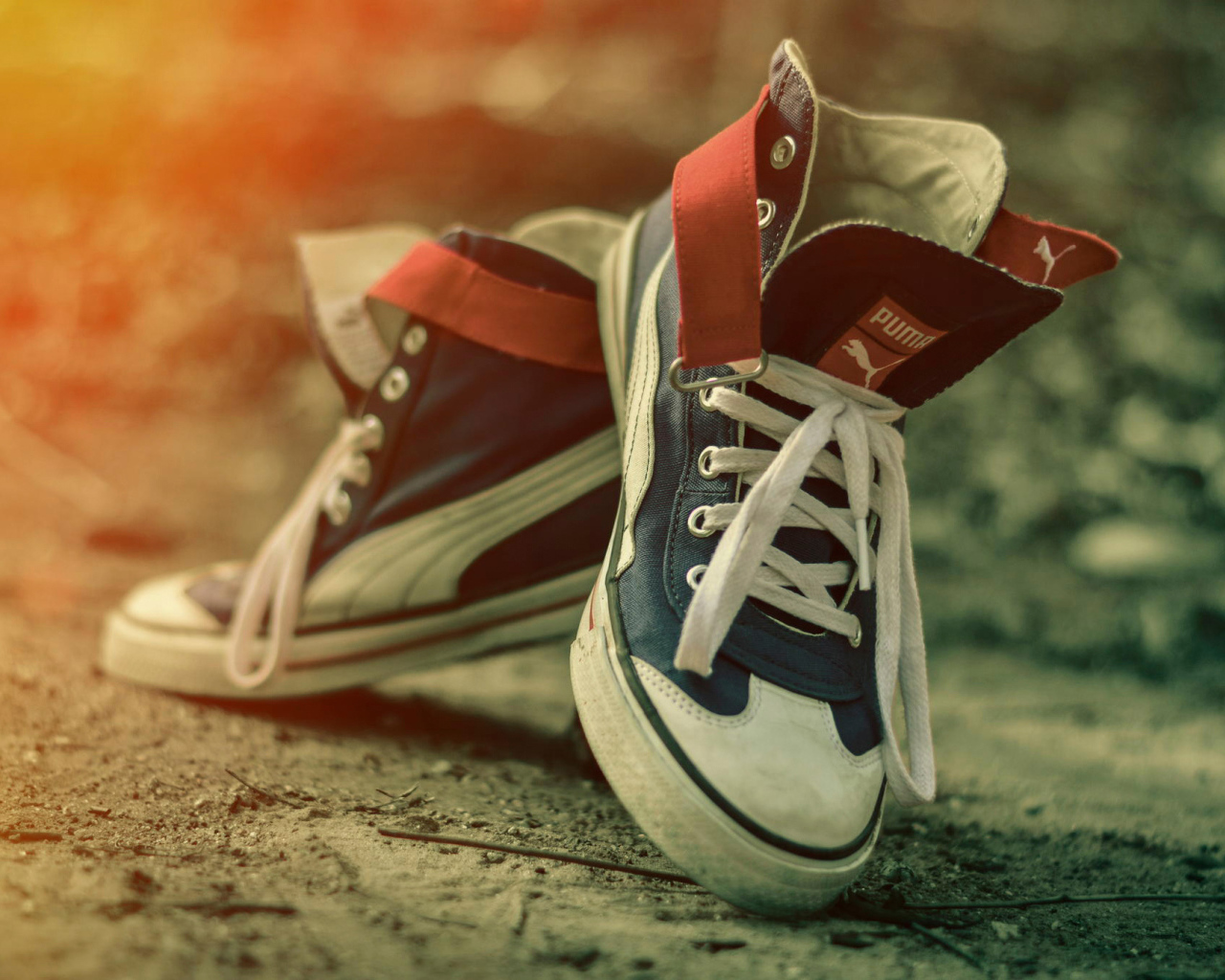 Пара красивых кед