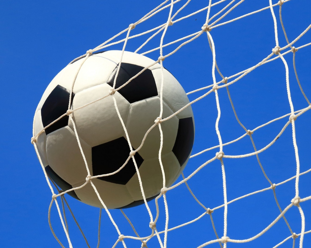 Футбольный мяч в сетке