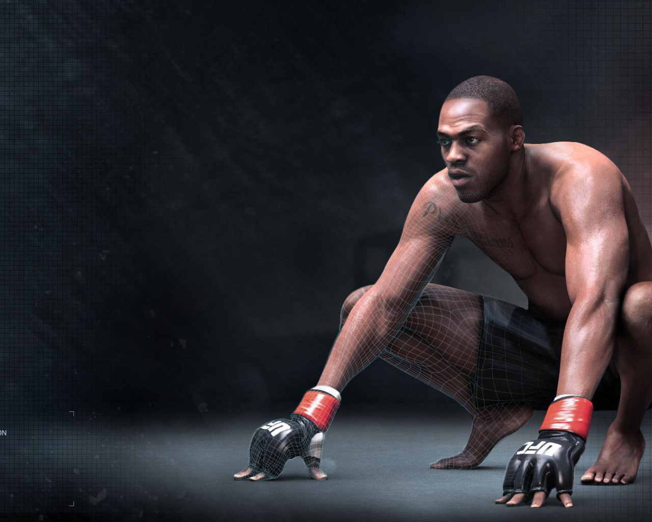 УФЦ  Боец Джон Джонс