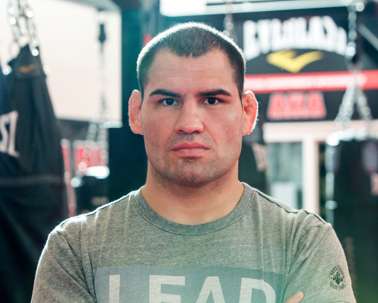 UFC Боец Джуниор Дос Сантос